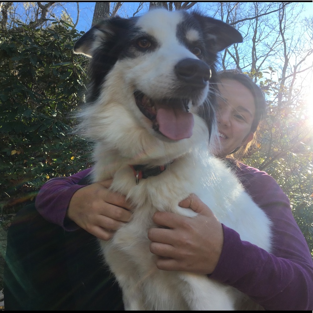 Meet your Posher, Amy